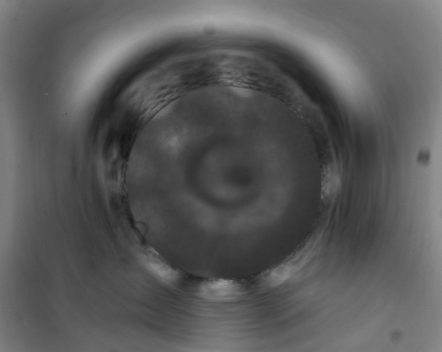 X0000101090431200807101553