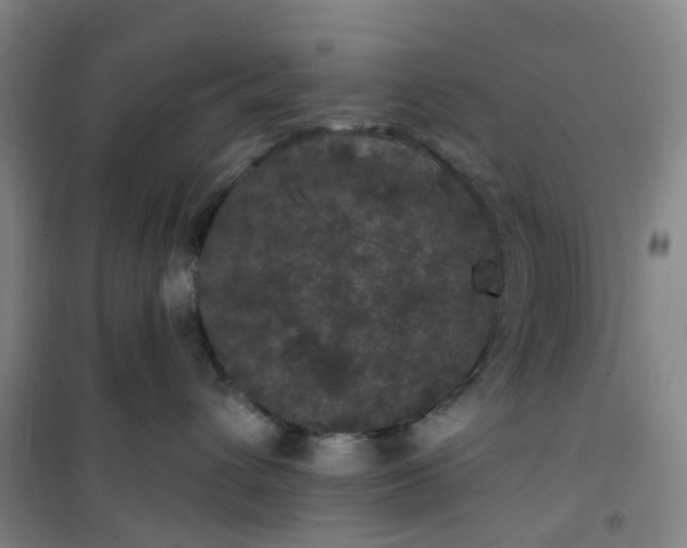 X0000101090432200807101553