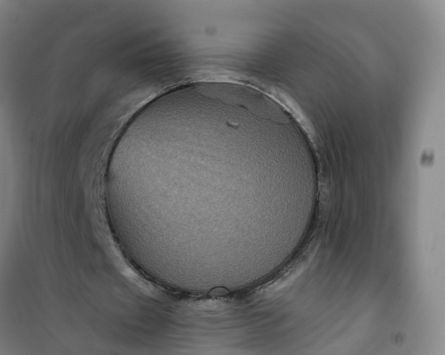 X0000101090433200807101552