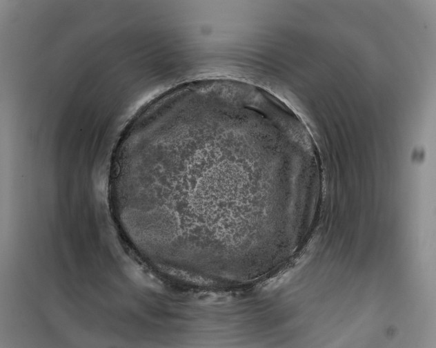 X0000101090434200807101552