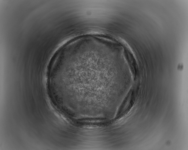 X0000101090435200807101552