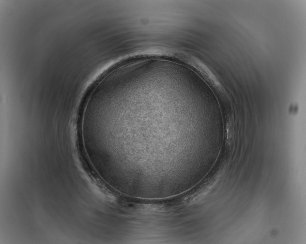 X0000101090436200807101552