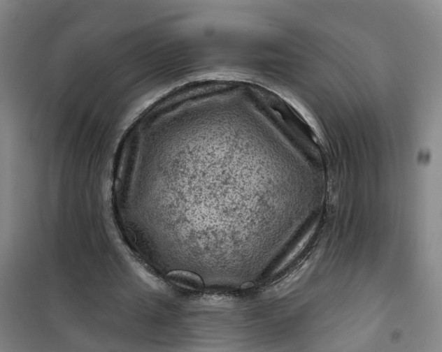 X0000101090437200807101552