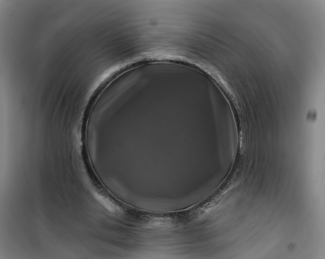 X0000101090438200807101552