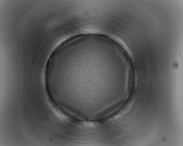 X0000101090439200807101552