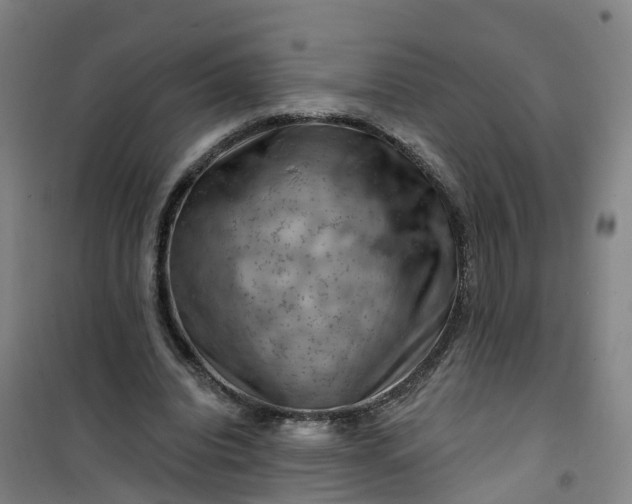 X0000101090440200807101552