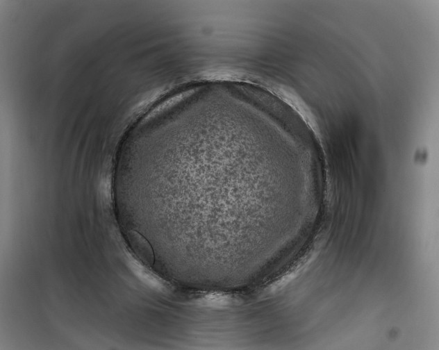 X0000101090441200807101552