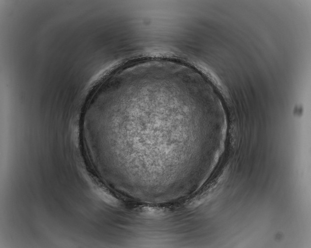 X0000101090442200807101552