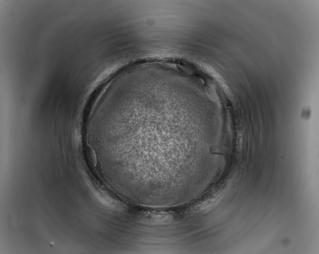 X0000101090443200807101552