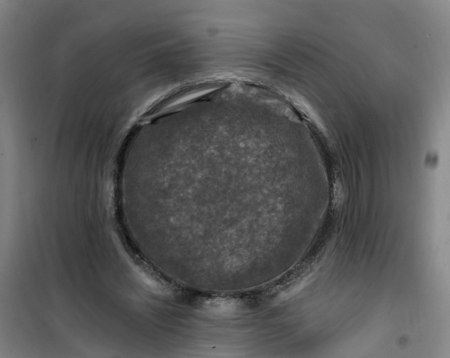 X0000101090444200807101552