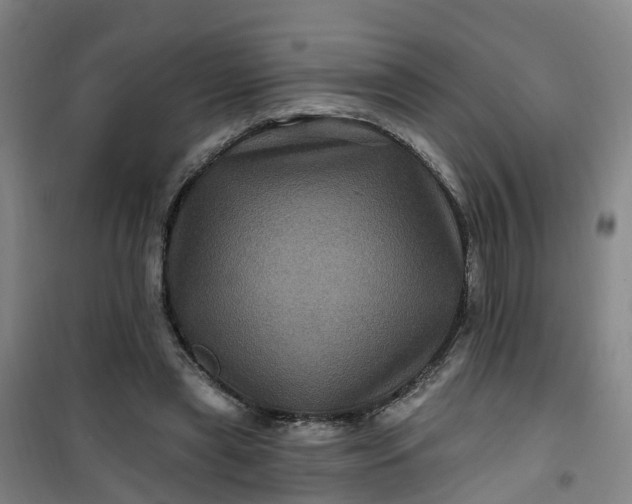 X0000101090445200807101552