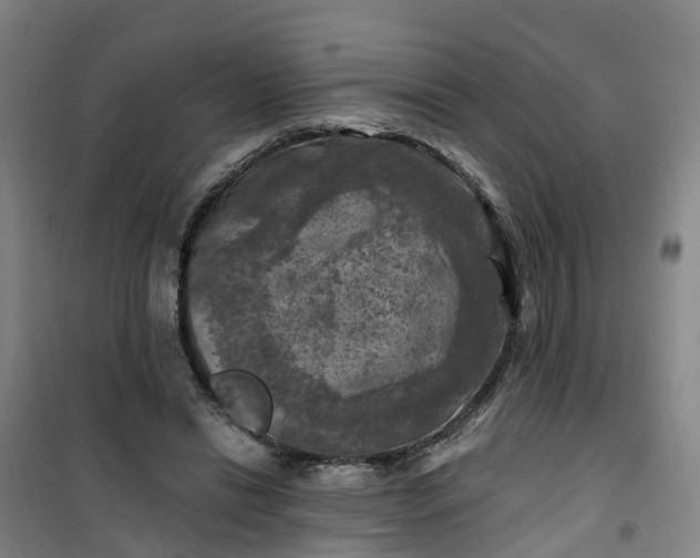 X0000101090446200807101552