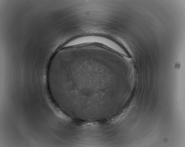 X0000101090447200807101552