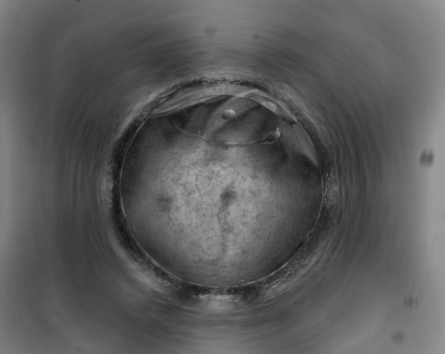 X0000101090448200807101552