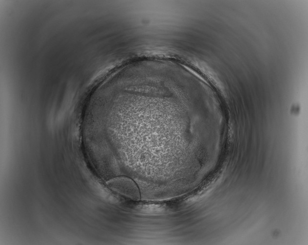 X0000101090449200807101552