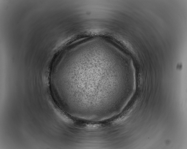 X0000101090450200807101552