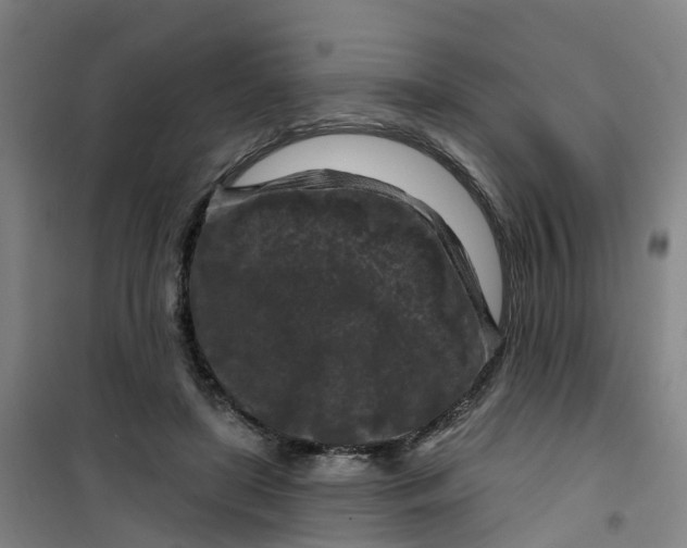 X0000101090451200807101552