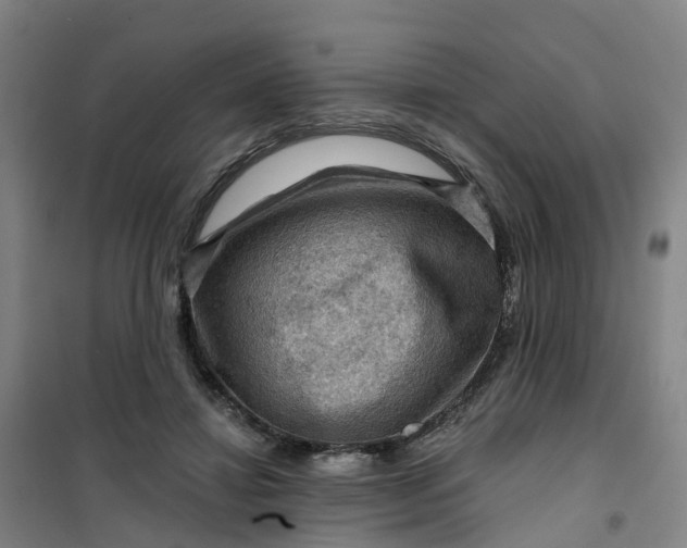 X0000101090452200807101552