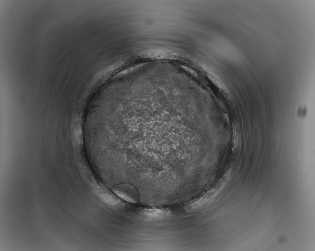 X0000101090453200807101552