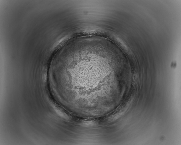 X0000101090454200807101552