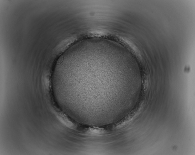 X0000101090455200807101552