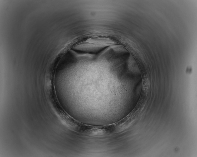 X0000101090456200807101552