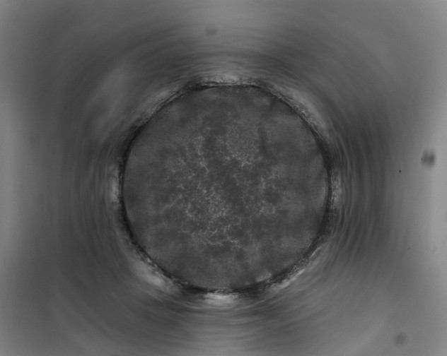 X0000101090457200807101552