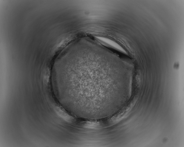 X0000101090458200807101552