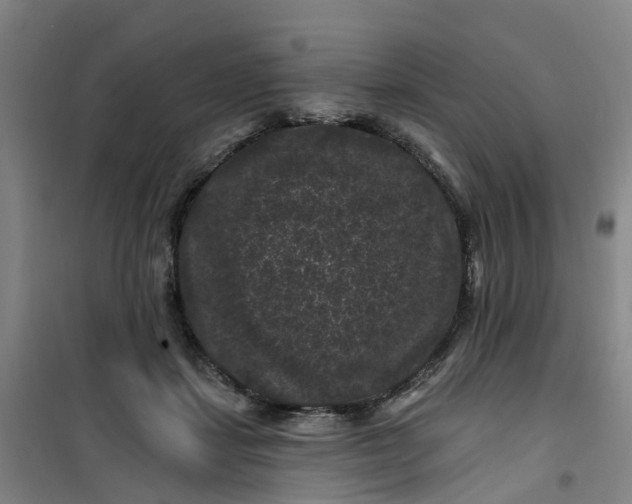 X0000101090459200807101552