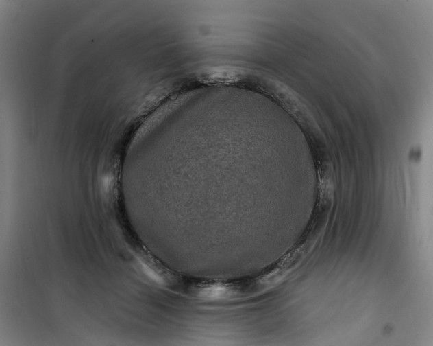 X0000101090460200807101552