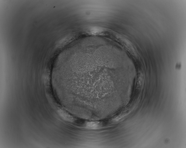 X0000101090461200807101552