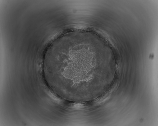 X0000101090462200807101552