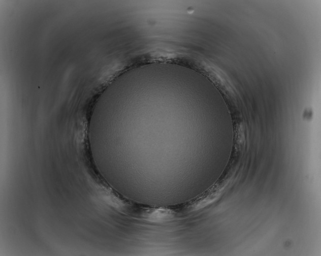 X0000101090463200807101552