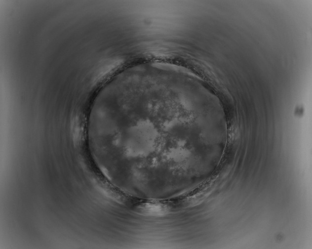 X0000101090464200807101552