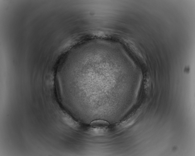 X0000101090466200807101552