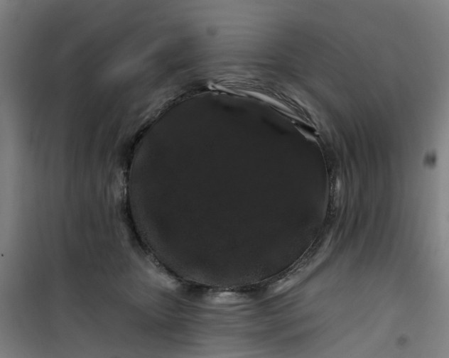 X0000101090467200807101552