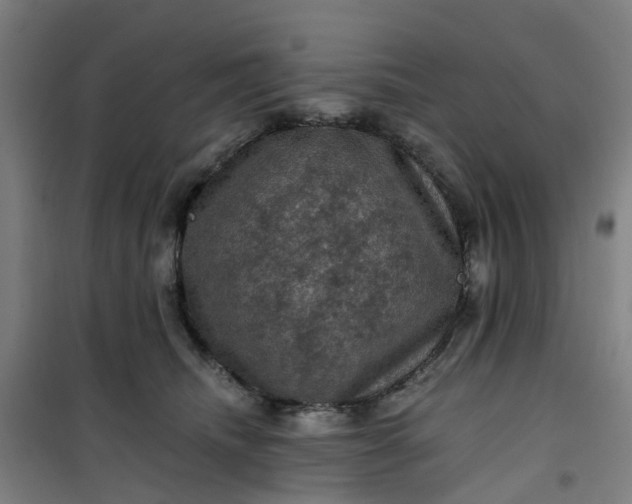 X0000101090468200807101552