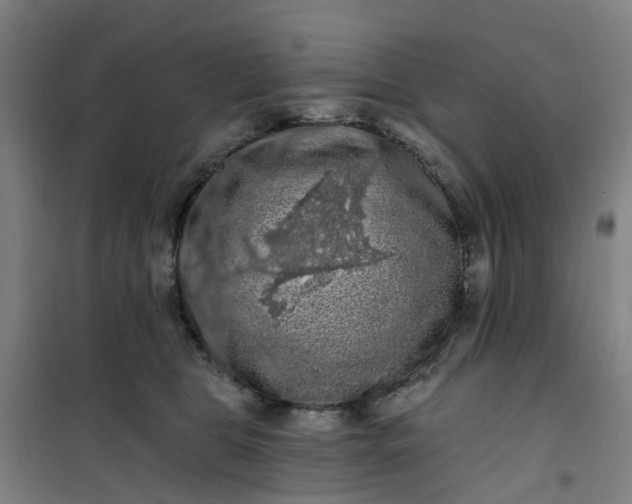 X0000101090469200807101552