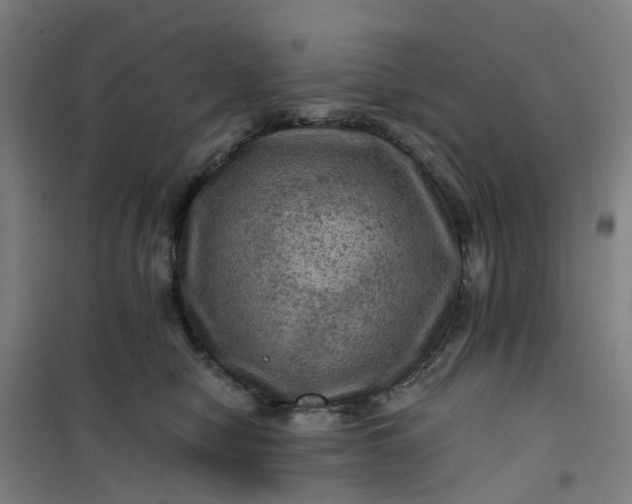 X0000101090470200807101553