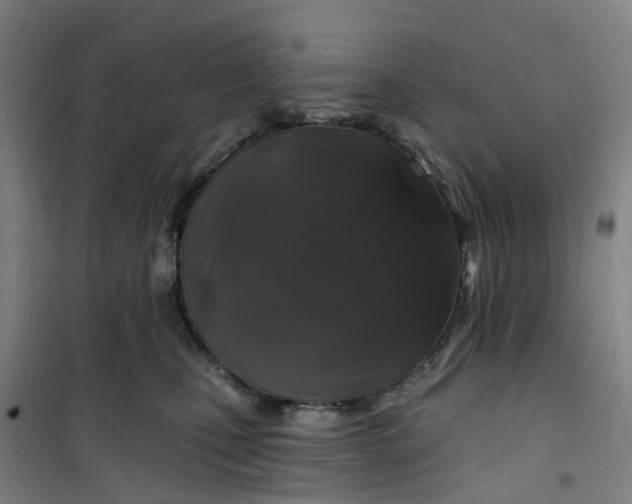 X0000101090471200807101553