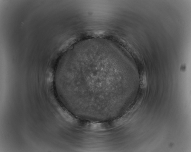 X0000101090472200807101553