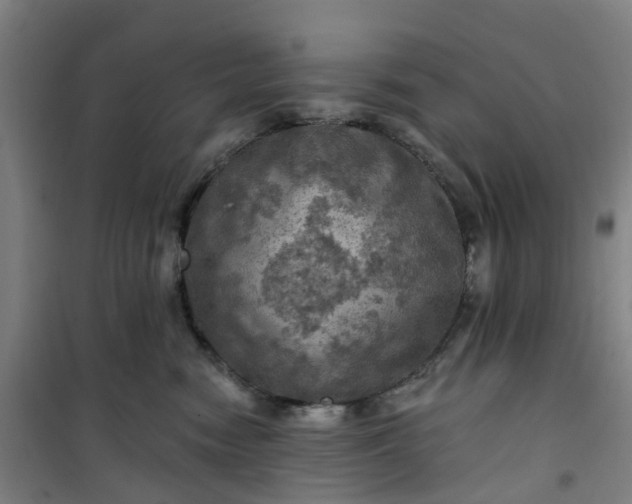 X0000101090474200807101553