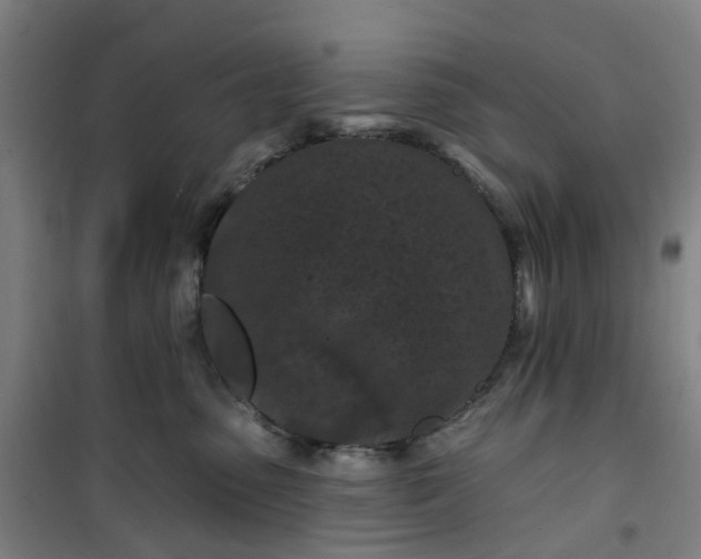 X0000101090475200807101553