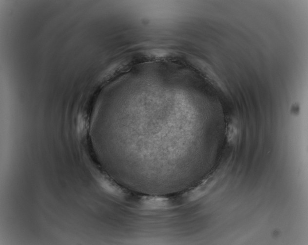 X0000101090476200807101553