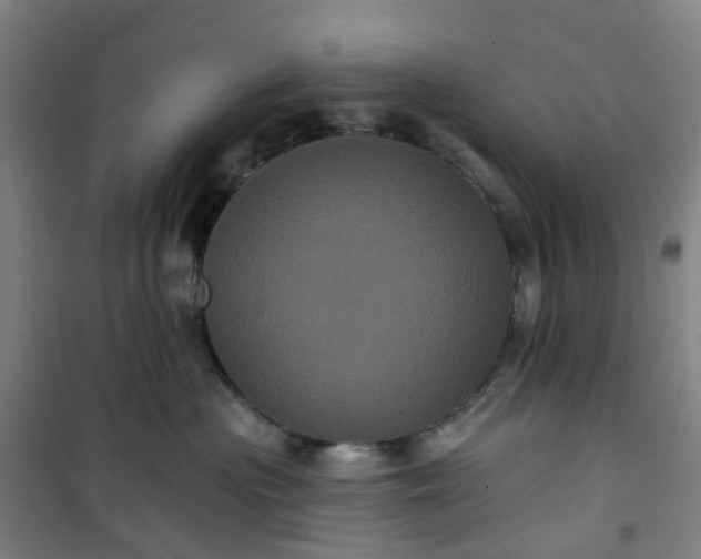 X0000101090477200807101553