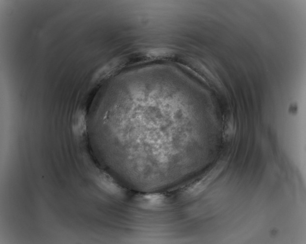 X0000101090478200807101553