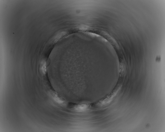 X0000101090479200807101553