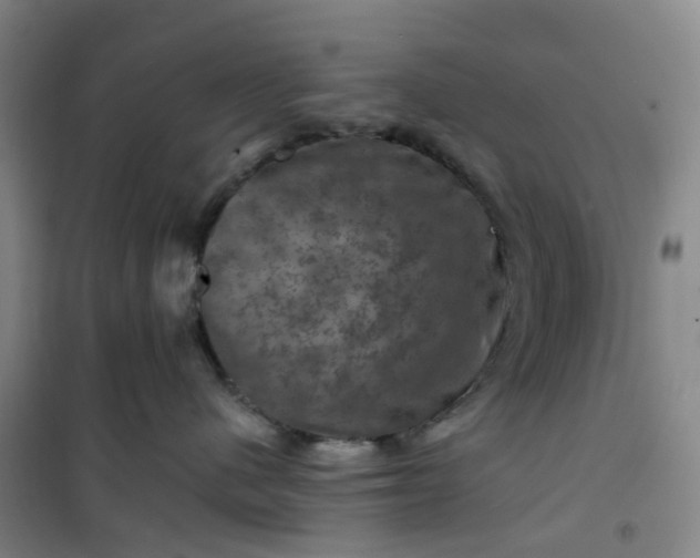 X0000101090480200807101553