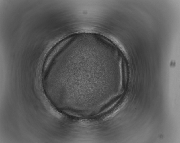 X0000101090481200807101552