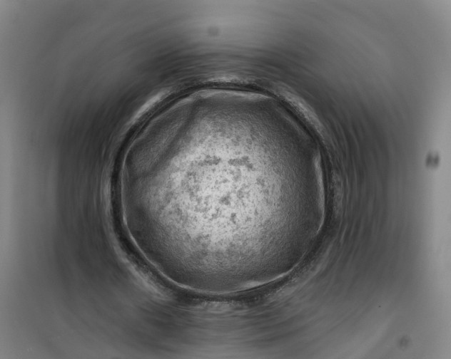 X0000101090482200807101552